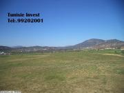 av terrain agricole de 17900m² a hammamet
