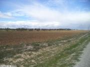 av terrain de 9000m² a hammamet sud