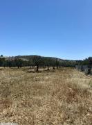 av terrain de 3 hectares a hammamet