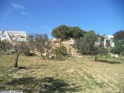 av terrain 1030m² a hammamet