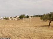 Un terrain de 2750 m² à vendre à 110 MD 51355351