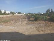 Terrain de 1380 m² à vendre à Hammamet 51355351