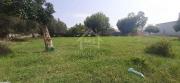 Terrain de 350 m² à vendre à 210 MD 51355351