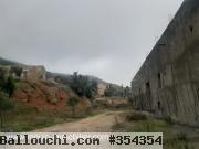 Ferme Orchidée T1025 Hammamet