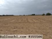 Vente de terrain agriculture a jdeida tunis