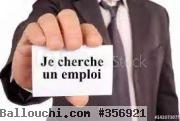Diplômé en informatique
