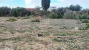 Terrain vue de mer à vendre à Nabeul 51355351