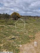 Lot de terrain clôturé à vendre 51355351