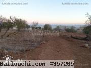 TERRAIN A VENDRE  SUR LA HAUTEUR DE BEJOU DE 8000M2