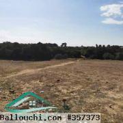 VT758Terrain agricole 7226 m² à Kelibia