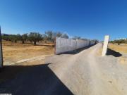 Lots de terrain constructibles à vendre 51355351