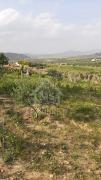 Terrain arboré de 1000 m² à vendre à 55 MD 51355351