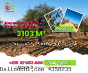 Un Terrain Agricole a Kala Ekbira Sousse