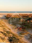 Terrain viabilisé pied dans l'eau à vendre 51355351