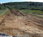 Terrain de 1312 m² à vendre à 55 MD 51355351