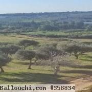 Terrain agricole 3M636