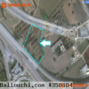 A vendre Terrain Turki Grombalia 480/16