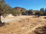 Terrain clôturé à vendre à 80 MD 51355351