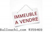 immeuble a vendre