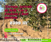 Un Terrain Agricole Avec Vue Mer a Vendre a Foukaia Chott Mariem de 2399 M² 