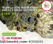 Très belle offre pour un terrain agricole de 2180 m² a foukaia
