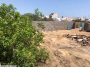Superbe terrain clôturé à vendre à Hammamet 51355351