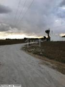 Terrain de 1 hectare à vendre 51355351