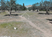 Superbe terrain de 650 m² à vendre à Mrezga 51355351