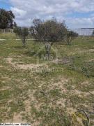 Lot de terrain clôturé à vendre 51355351