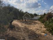 Terrains constructibles à vendre à Mrezga 51355351