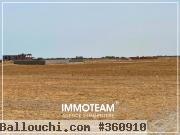 A VENDRE Un terrain situé à 3 km de Jinen Hammamet
