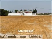 A VENDRE Un terrain situé à 3 km de Jinen Hammamet