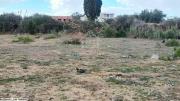 Terrain vue de mer à vendre à Nabeul 51355351