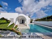 V153 Villa DU CHARME HAMMAMET CH