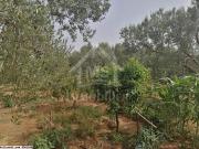 Terrain de 400 m² à vendre à la zone touristique 51355351