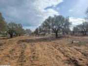 Superbe terrain de 650 m² à vendre à Mrezga 51355351
