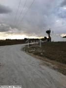 Terrain de 1 hectare à vendre 51355351