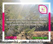 Un Terrain a Foukaia chott mariem