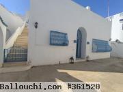 V247 Villa FLAMANT HAMMAMET JK