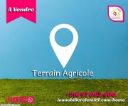 RéfTA364un Terrain agricole clôturé à vendre 2550m²akalakbira