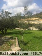 terrain a ne pas rater