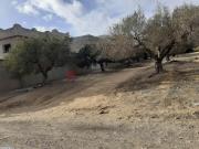 berket essehl tt pres terrain de golf 1000m²