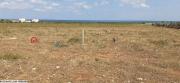 Lebna, un terrain de rêve a 100m de la plage