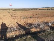 :  korba , un terrain de 5hectares6000m² sur le goudronne