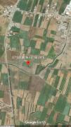 SANIA  A  HAMMEM  SIDI DAOUD  EL HAOUARIA