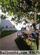 Duplex Tweety AL1828 Hammamet Centre