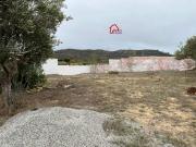 terrain sur les collines de hamammet