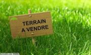 Terrain Med