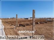 Terrain à vendre sabrine 21 256 253