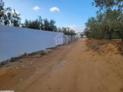 Terrain de 1800 m² à vendre à Hammamet Sud 51355351